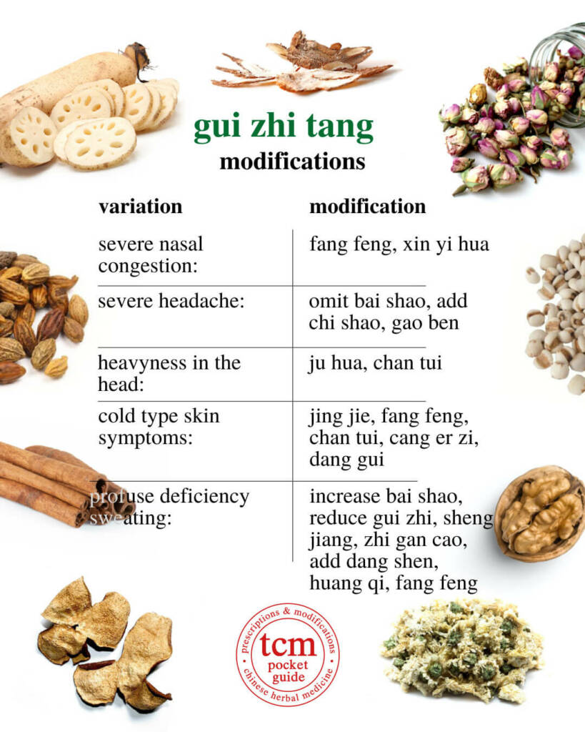 gui zhi tang modifications 1