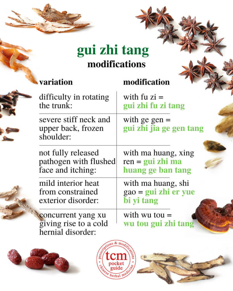 gui zhi tang modifications 3