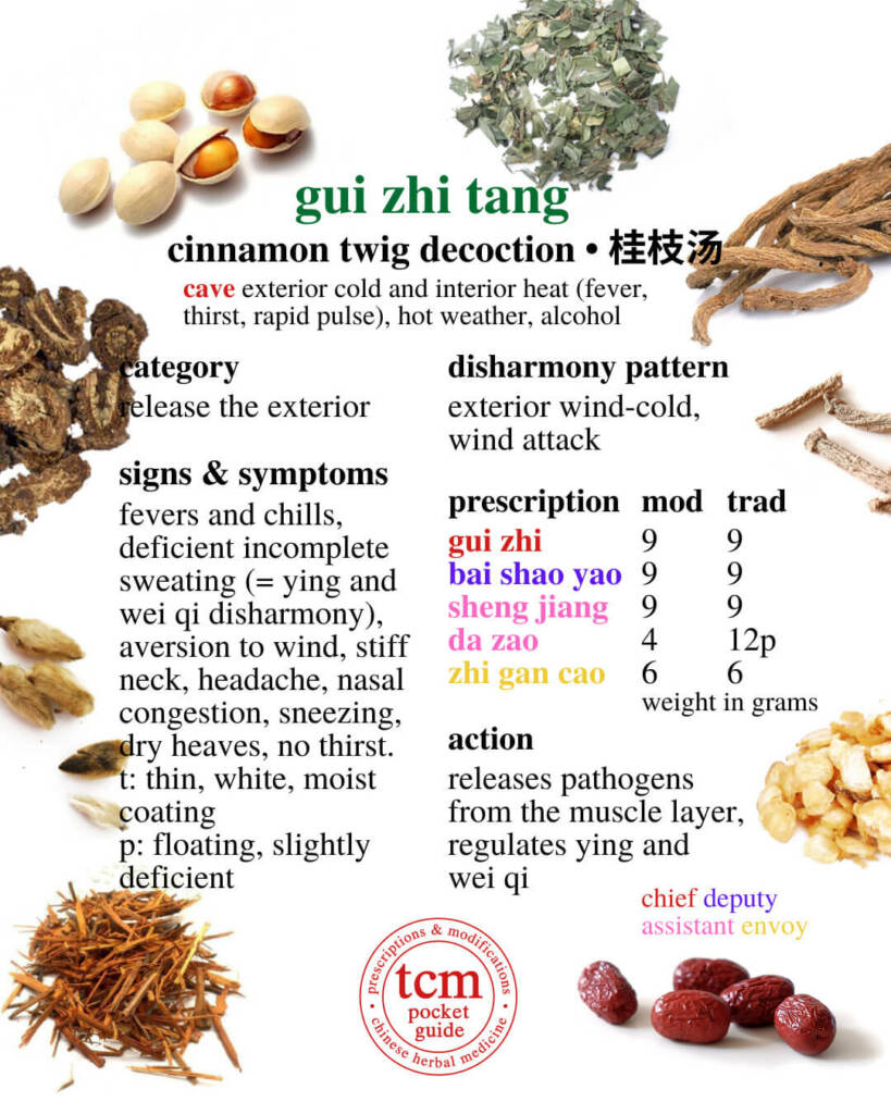 gui zhi tang prescription - tcm pocketguide