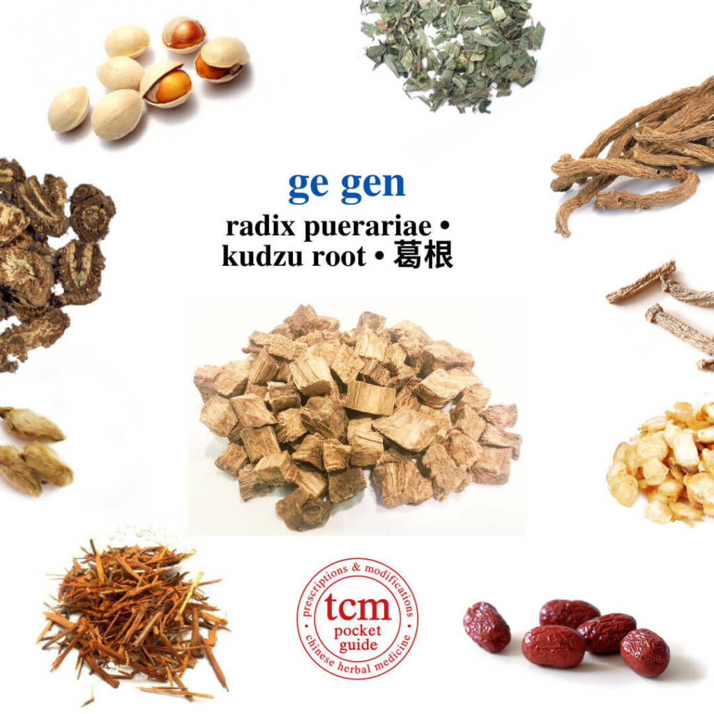 tcm pocketguide ge gen herb