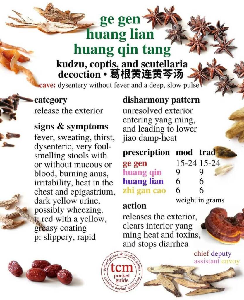 ge gen huang lian huang qin tang prescription - tcm pocketguide