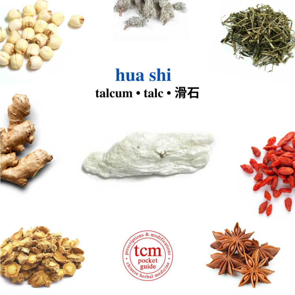 tcm pocketguide hua shi herb