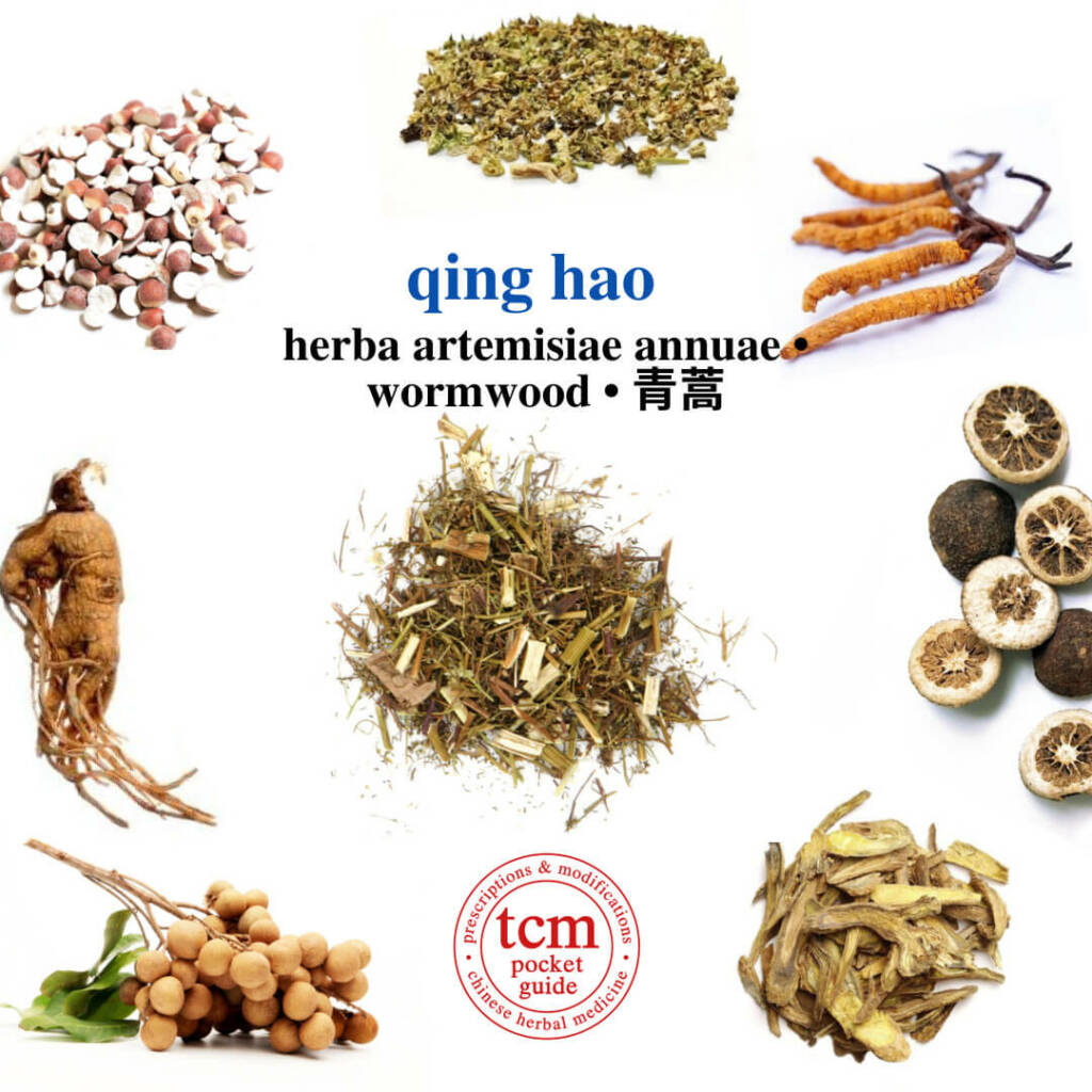 tcm pocketguide qing hao herb