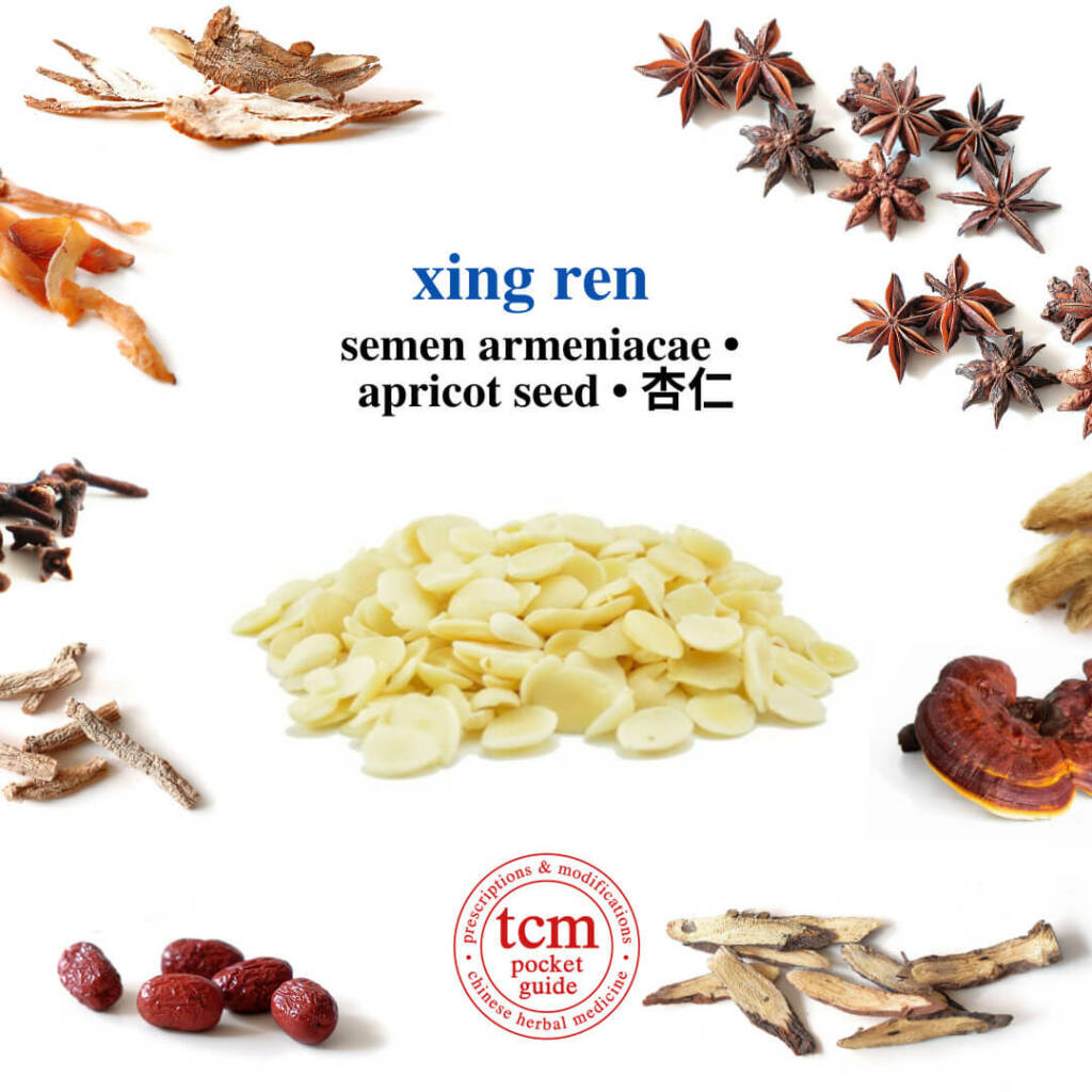 tcm pocketguide xing ren herb