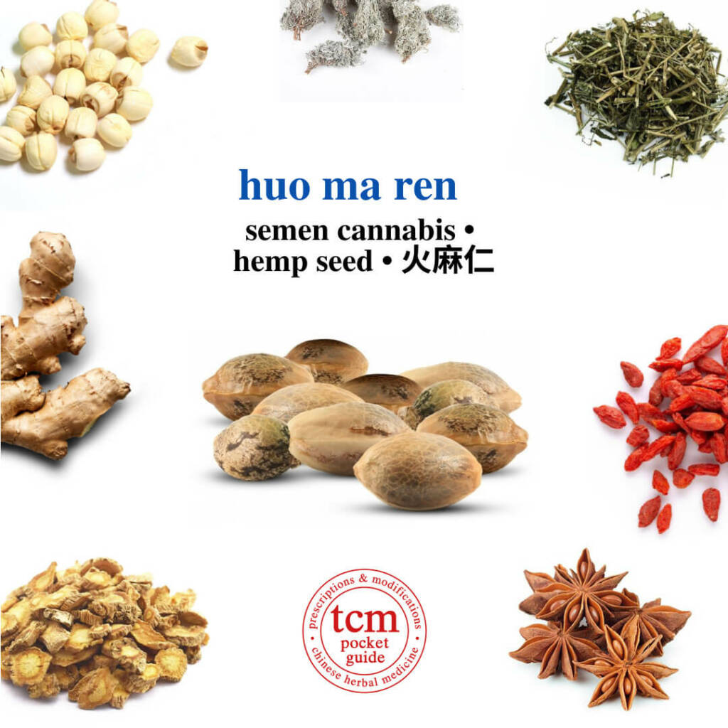 tcm pocketguide huo ma ren herb