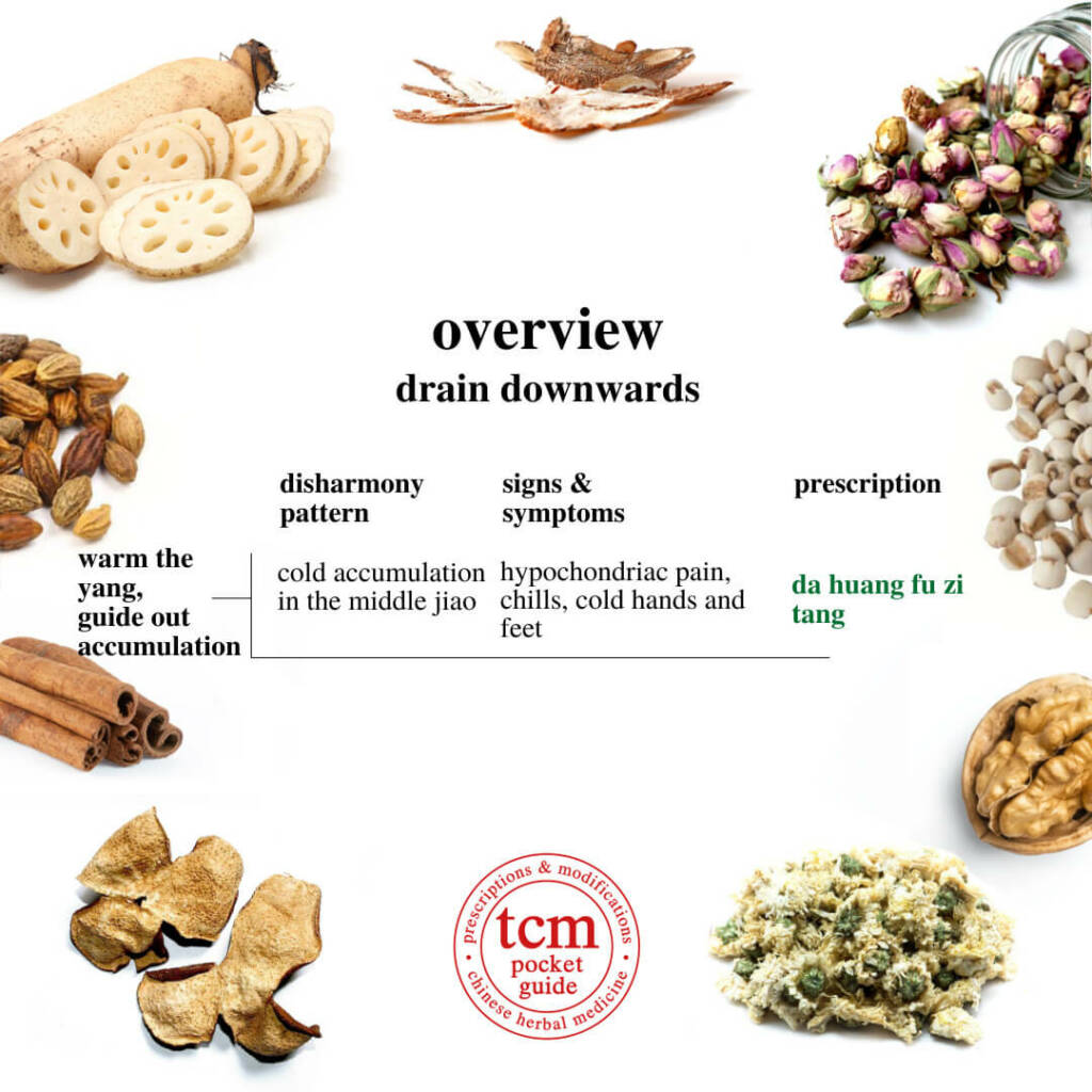 overview drain downwards, warm the yang, guide out accumulation