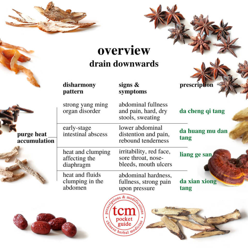 tcm pocketguide overview drain downwards, purge heat accumulation