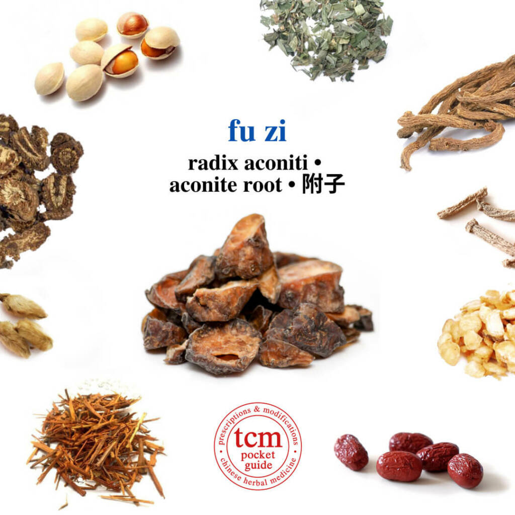 tcm pocketguide fu zi herb