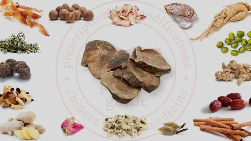 tcm pocketguide blog 3 fu zi tcm pocketguide blog post