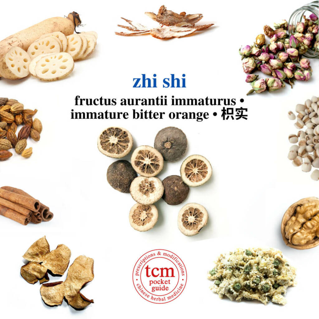 tcm pocketguide zhi shi herb