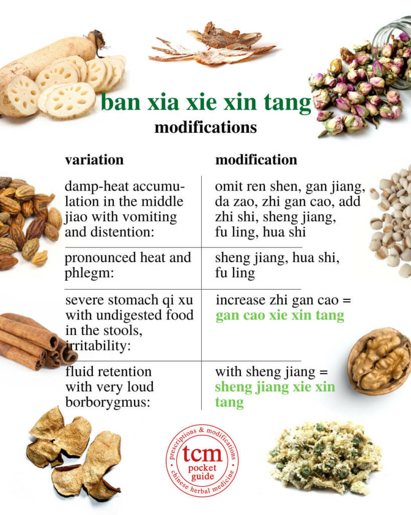 ban xia xie xin tang modifications 1