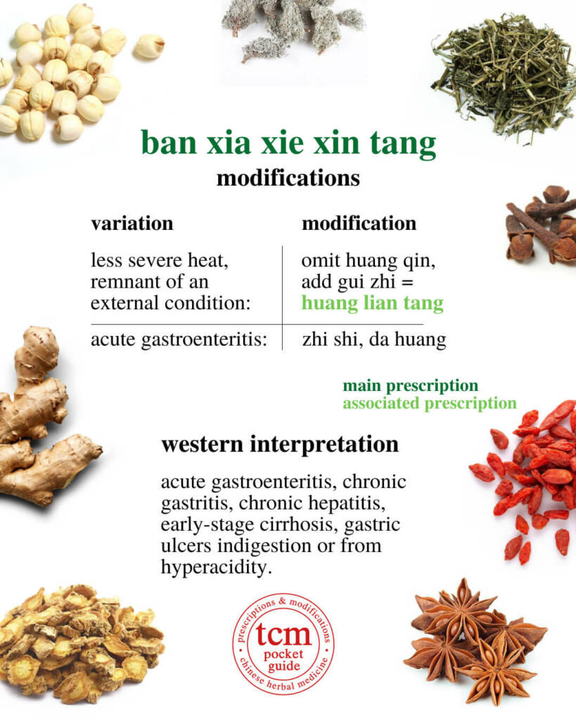 ban xia xie xin tang modifications and western interpretation