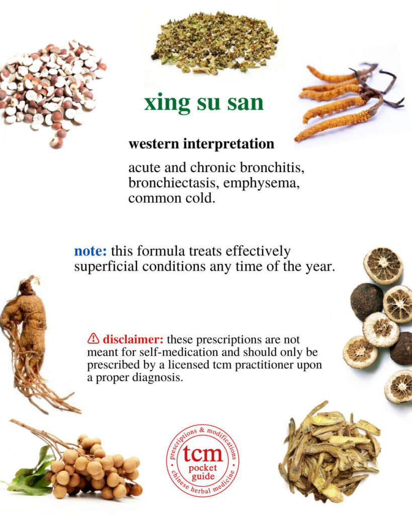 xing su san western interpretation