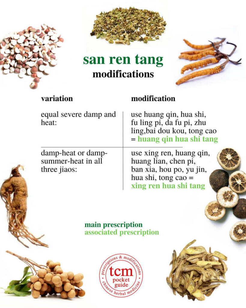 san ren tang modifications 2