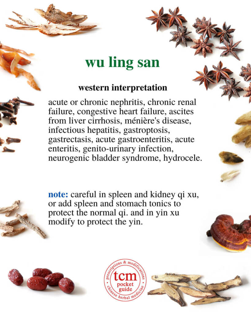 wu ling san western interpretation