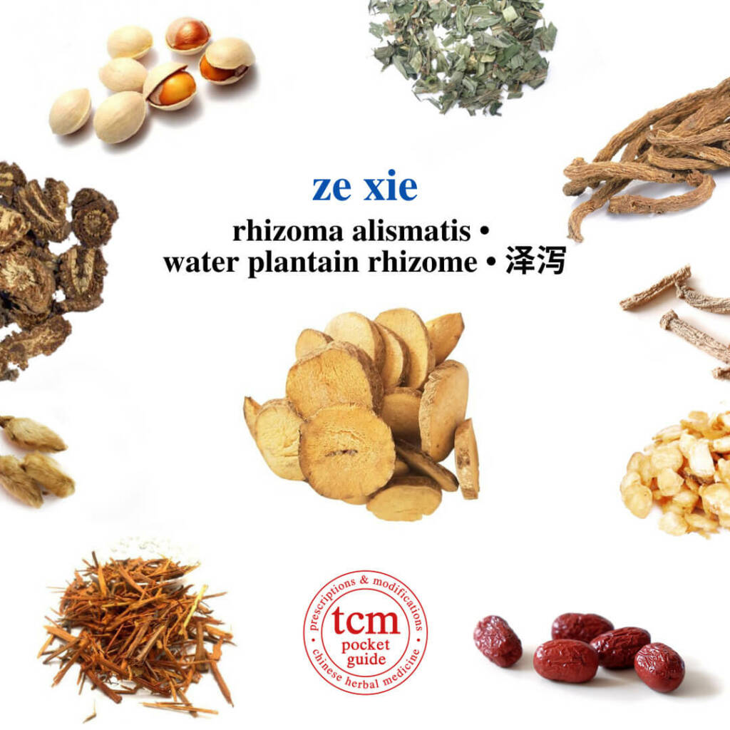 ze xie herb tcm pocketguide