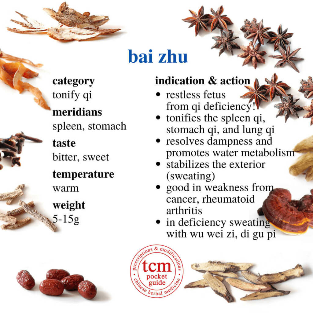 bai zhu indication action