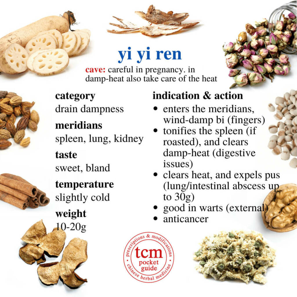 yi yi ren action indication