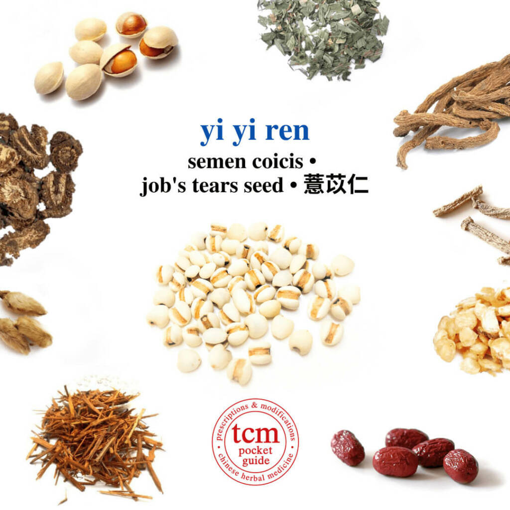 yi yi ren herb tcm pocketguide