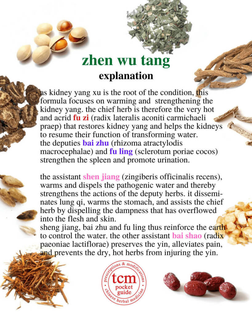 zhen wu tang explanation