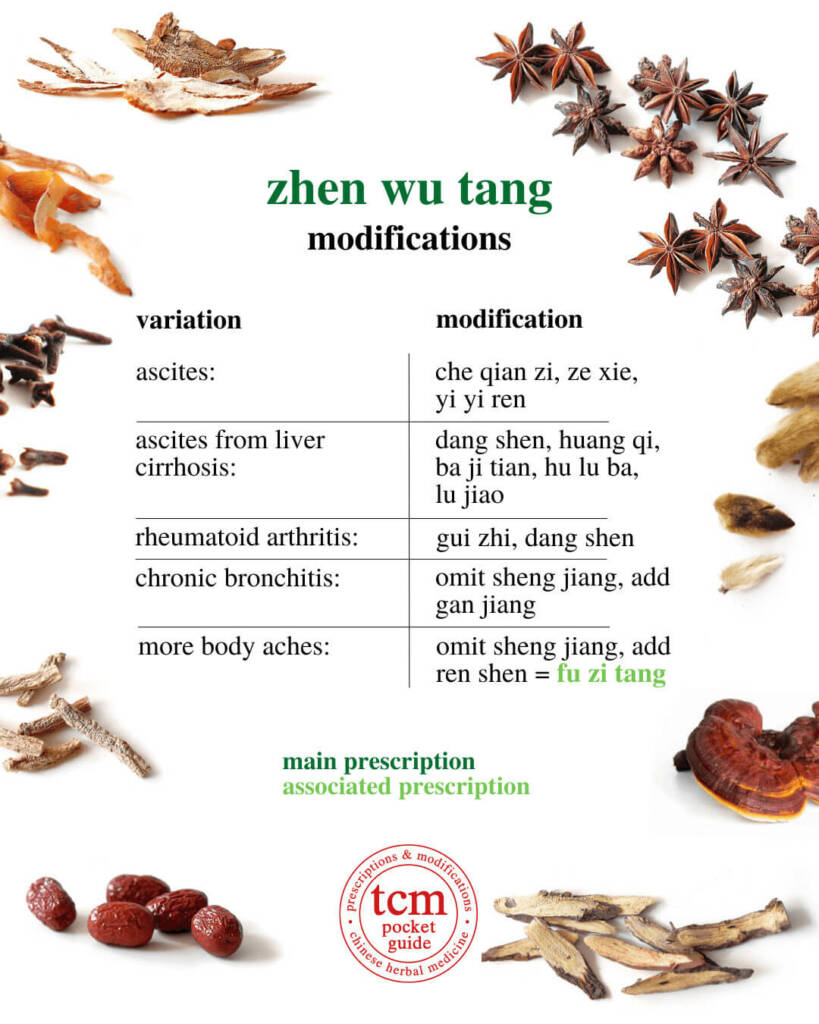 zhen wu tang modification 3