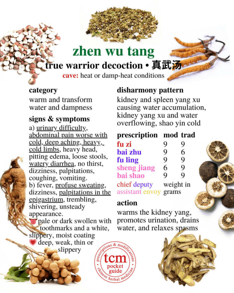 zhen wu tang prescription - tcm pocketguide