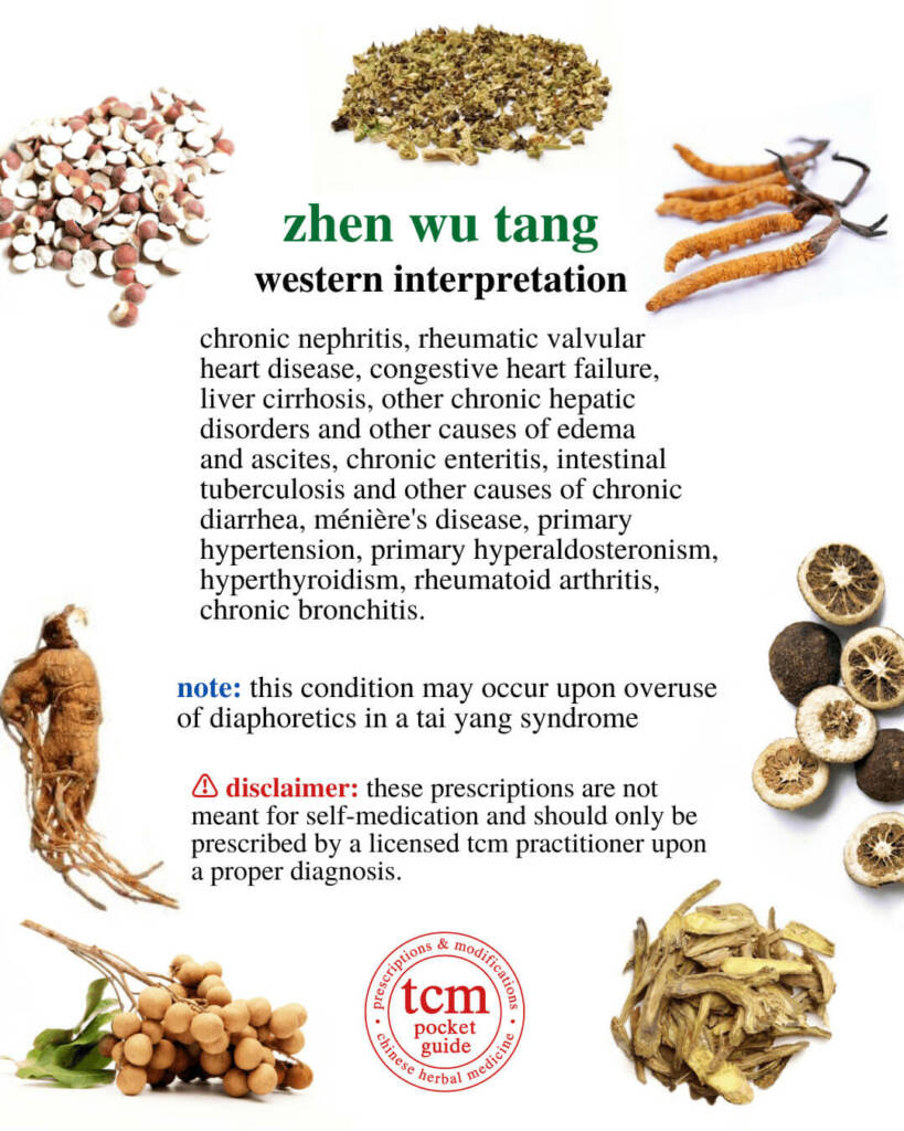 zhen wu tang western interpretation