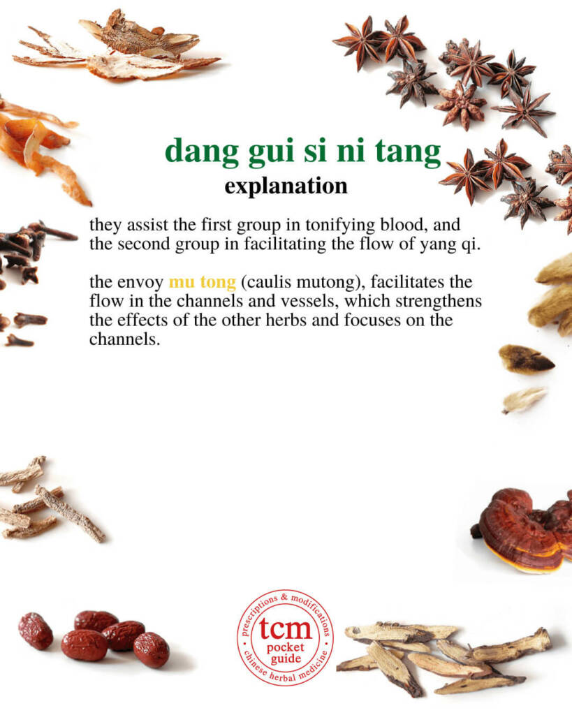 dang gui si ni tang explanation 2