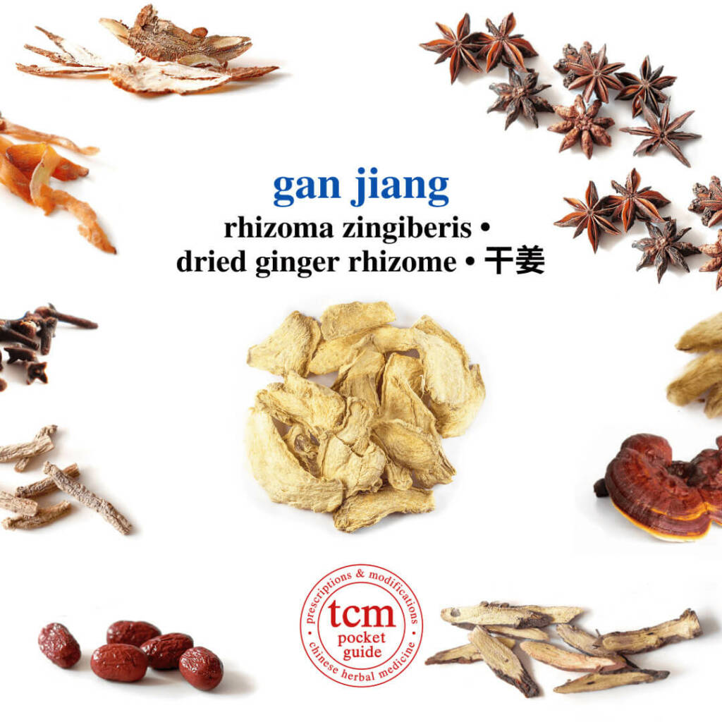 gan jiang herb tcm pocketguide