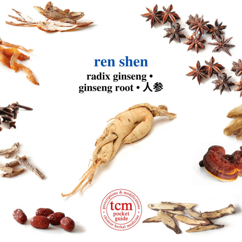 ren shen herb tcm pocketguide