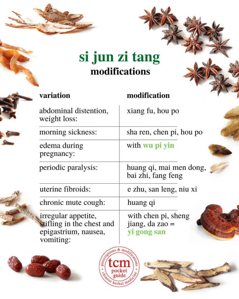 si jun zi tang modifications 1