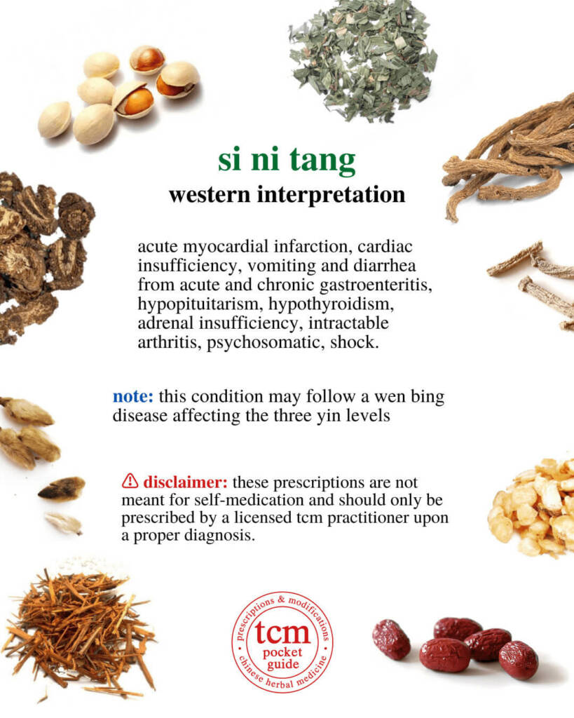 si ni tang western interpretation