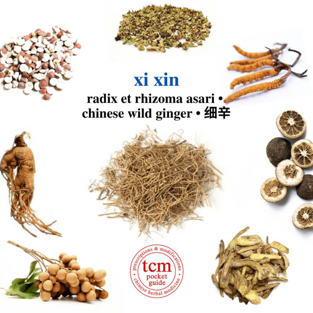 xi xin herb tcm pocketguide