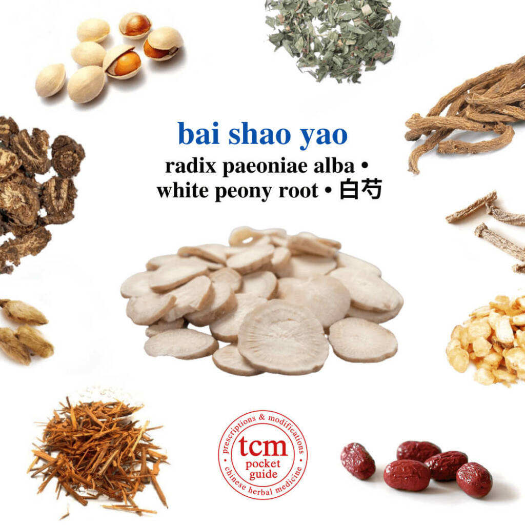 bai shao yao herb tcm pocketguide