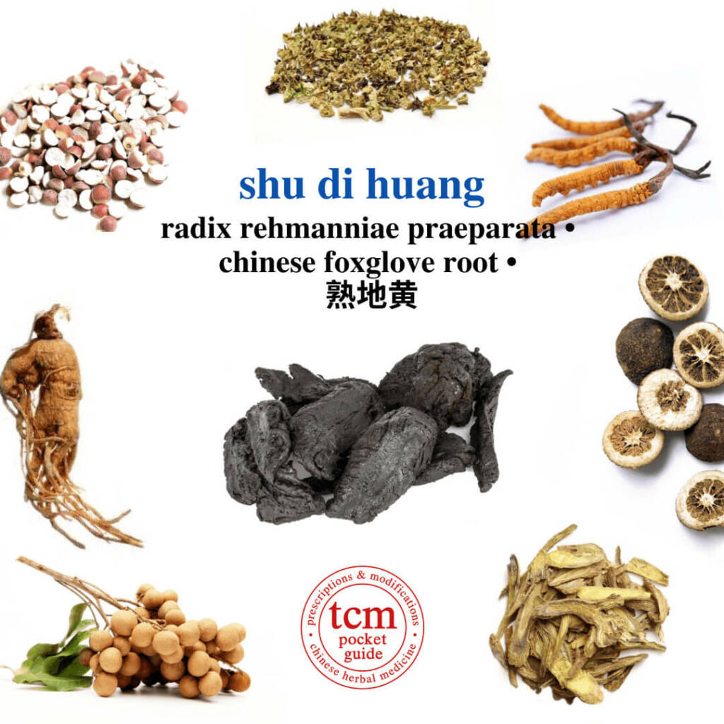 shu di huang herb tcm pocketguide