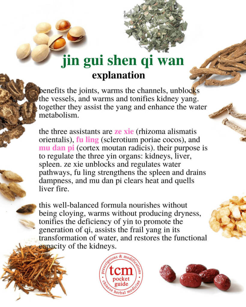 jin gui shen qi wan explanation 2