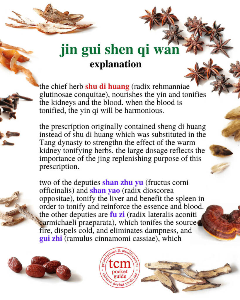 jin gui shen qi wan explanation