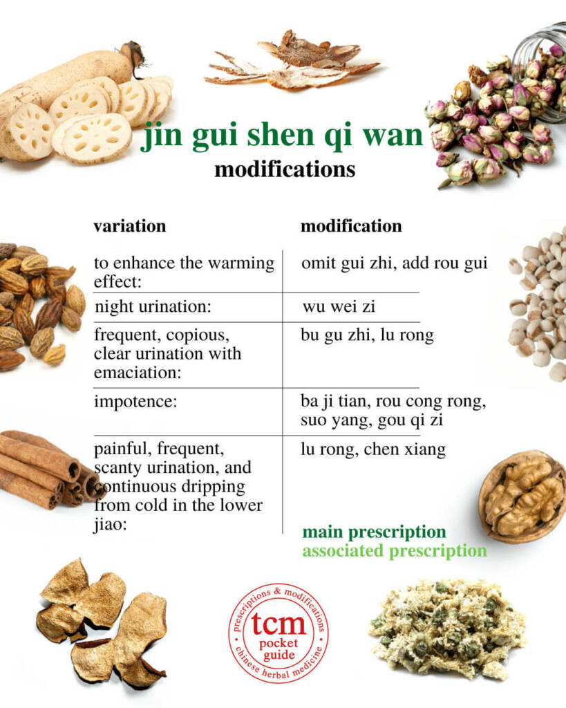 jin gui shen qi wan modification