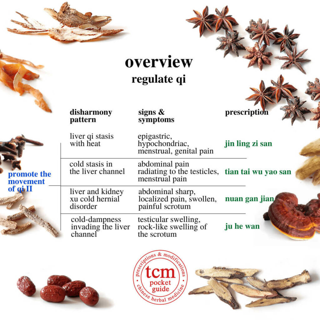 overview regulate qi promote the movement of qi 2