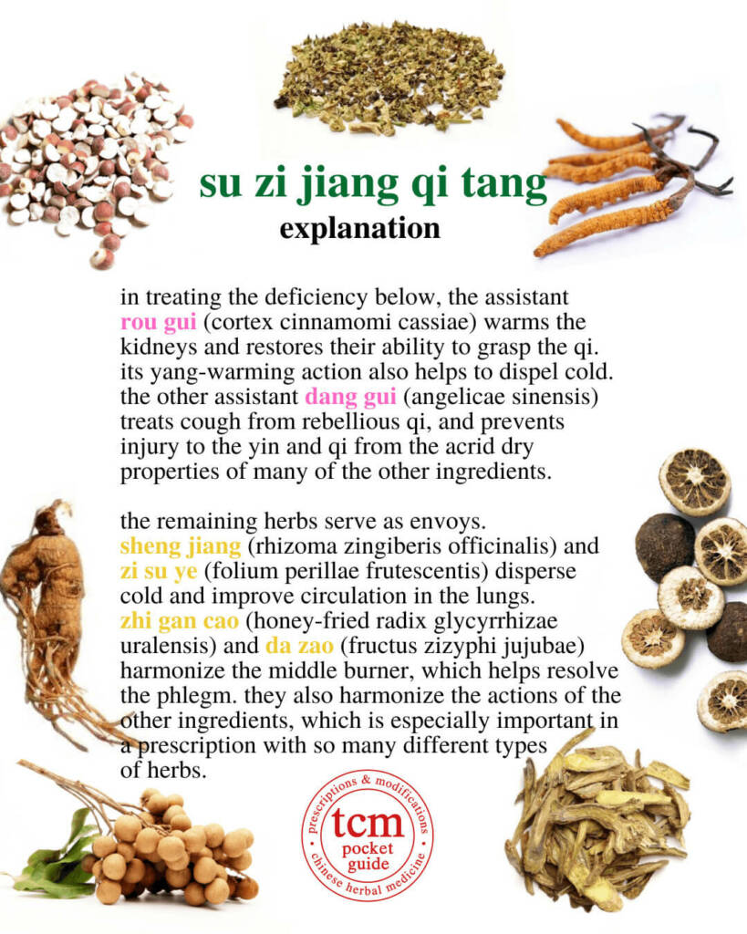 su zi jiang qi tang explanation 2