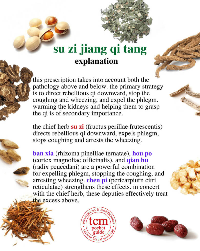 su zi jiang qi tang explanation