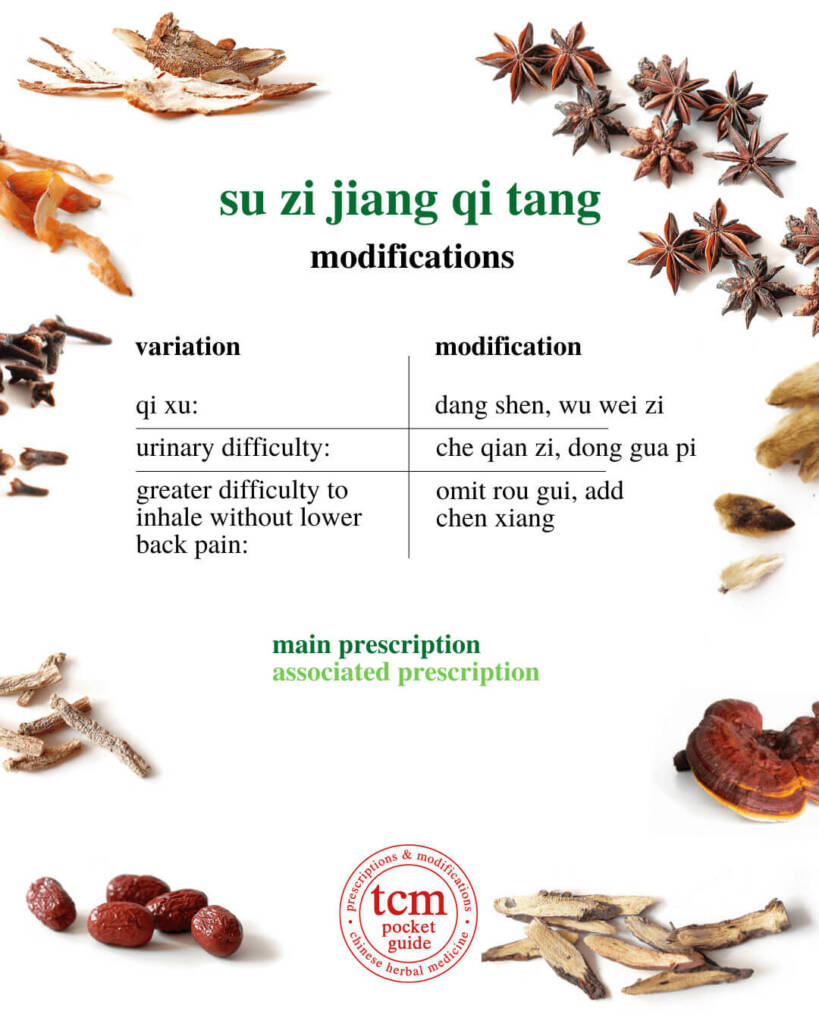 su zi jiang qi tang modifications 2