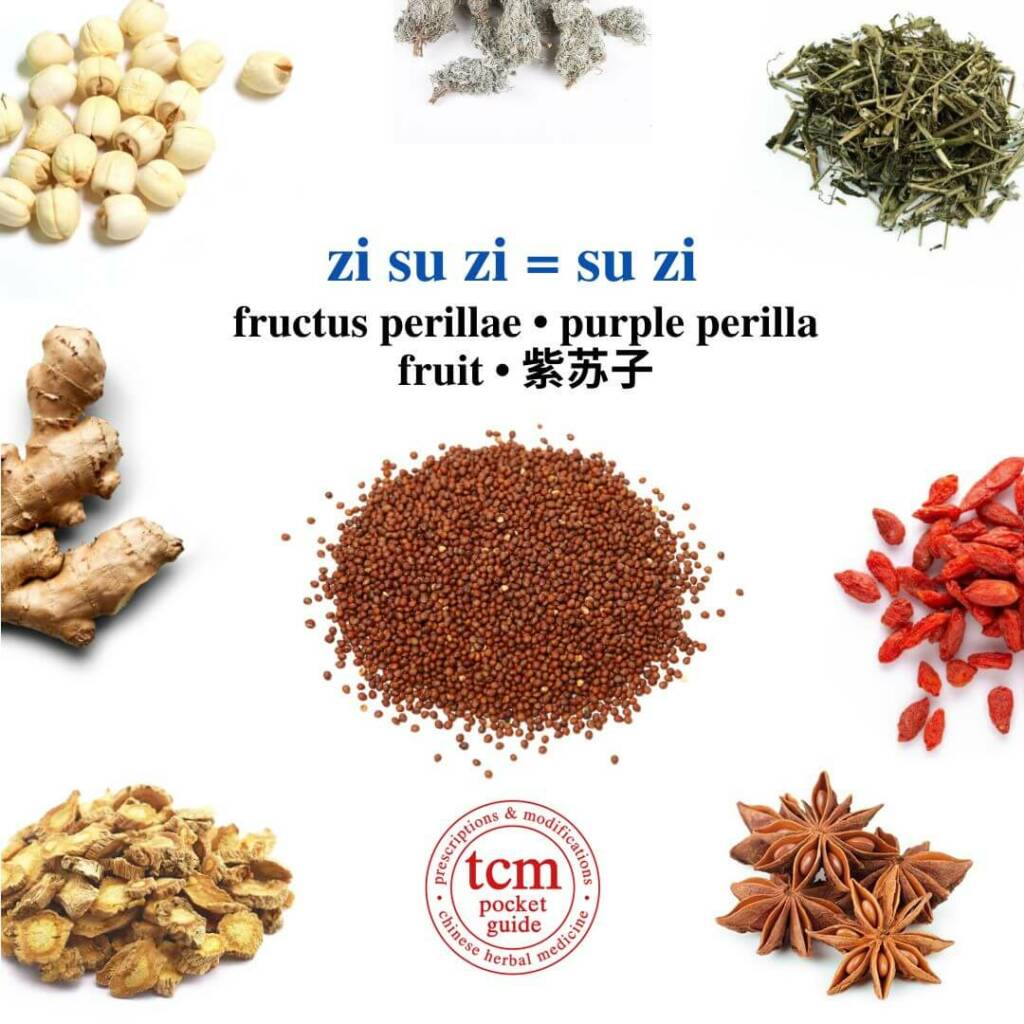 zi su zi_su zi herb tcm pocketguide