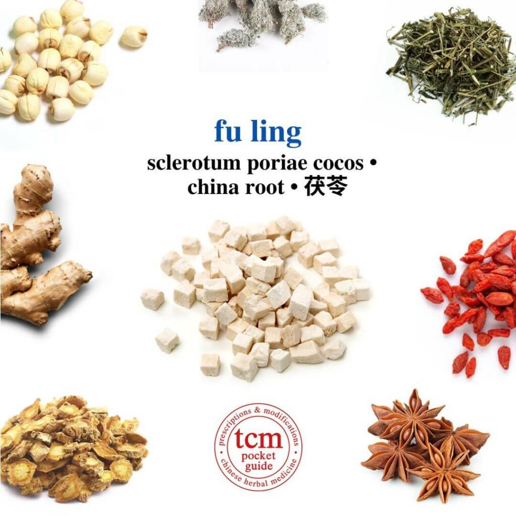 fu ling herb tcm pocketguide