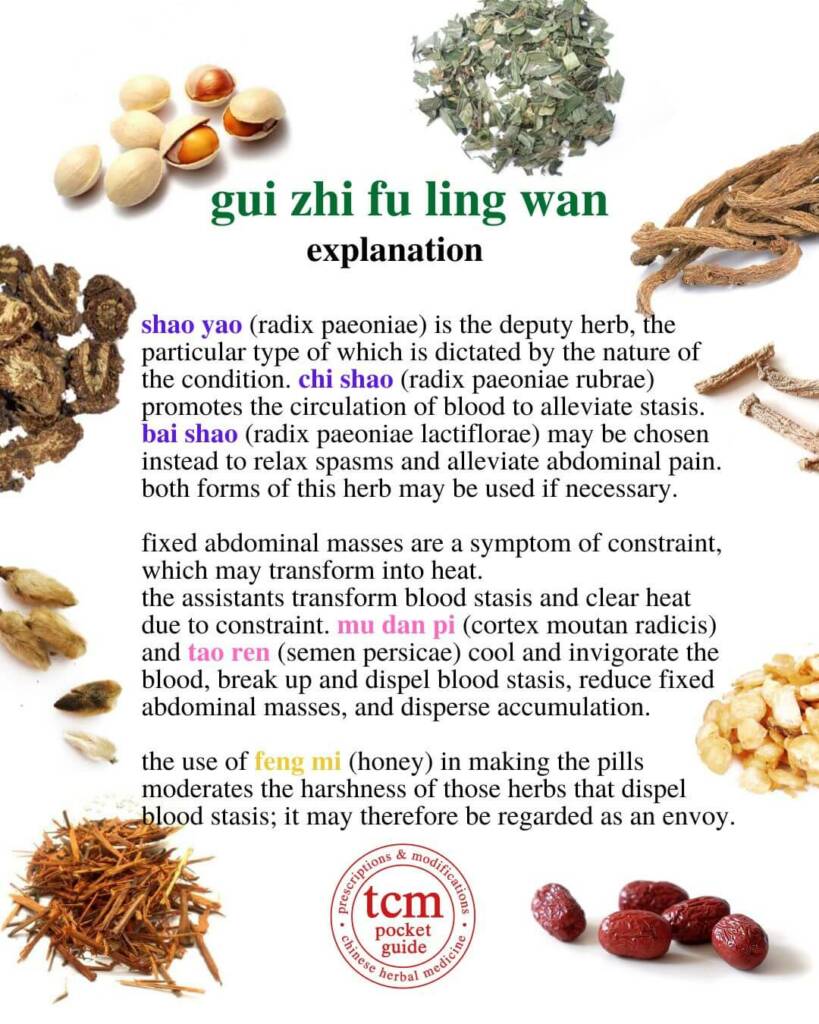 gui zhi fu ling wan explanation 2