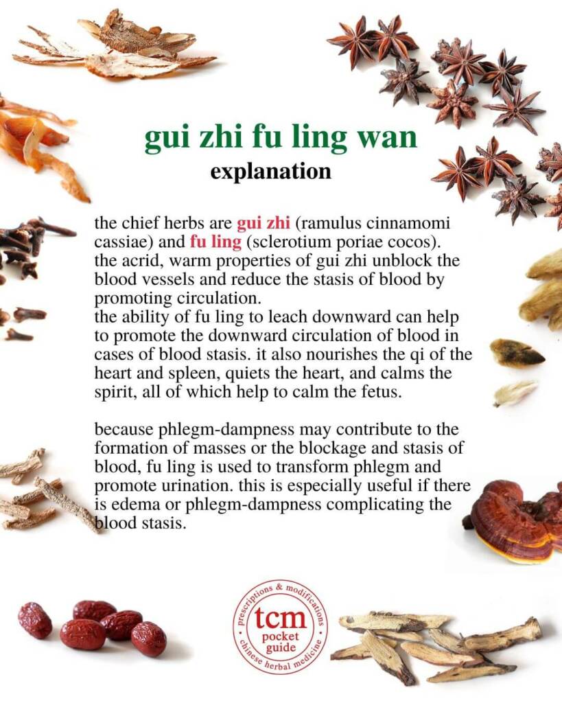 gui zhi fu ling wan explanation