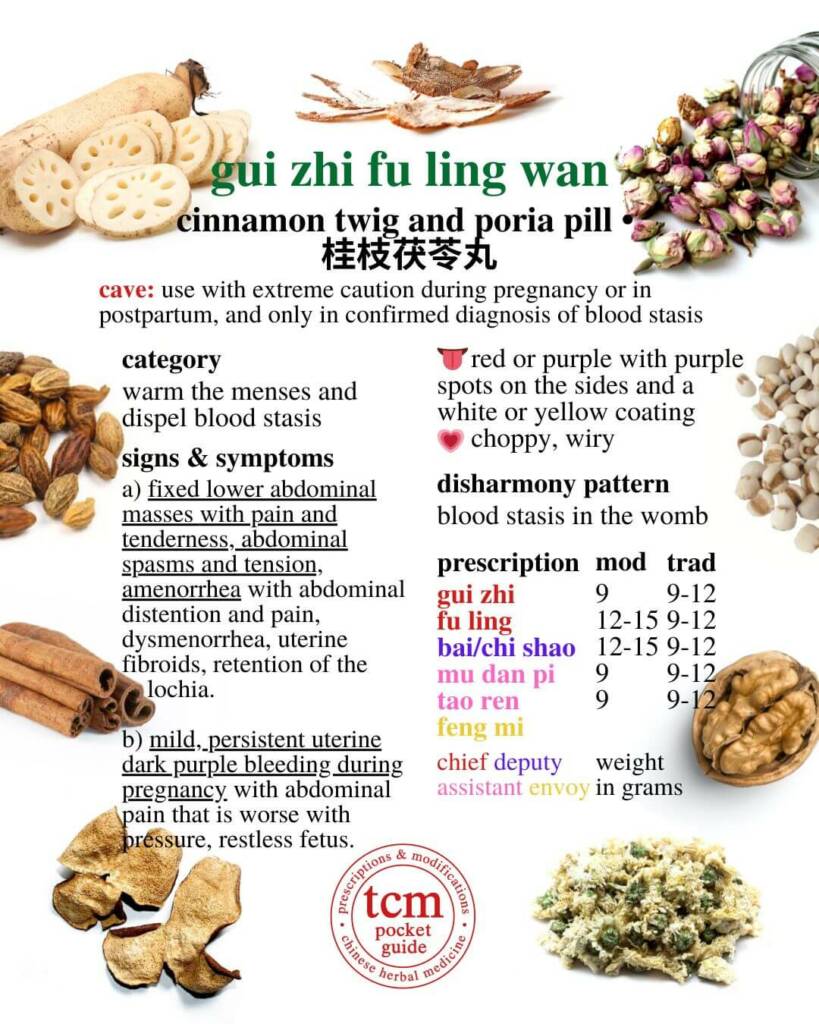 gui zhi fu ling wan prescription - tcm pocketguide