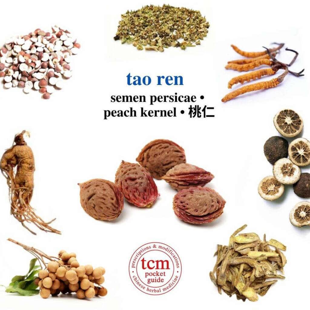 tao ren herb tcm pocketguide