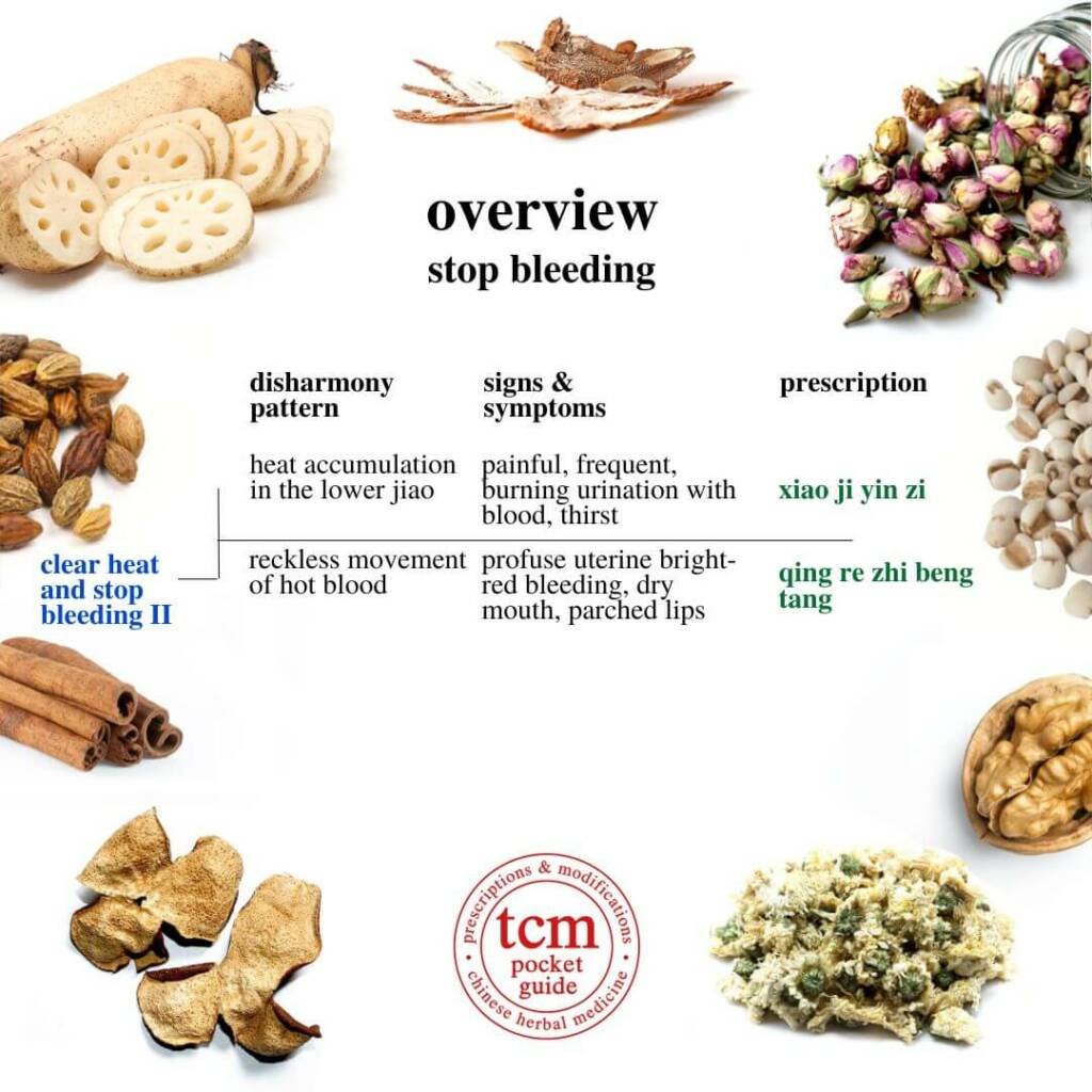 overview stop bleeding, clear heat and stop bleeding 2