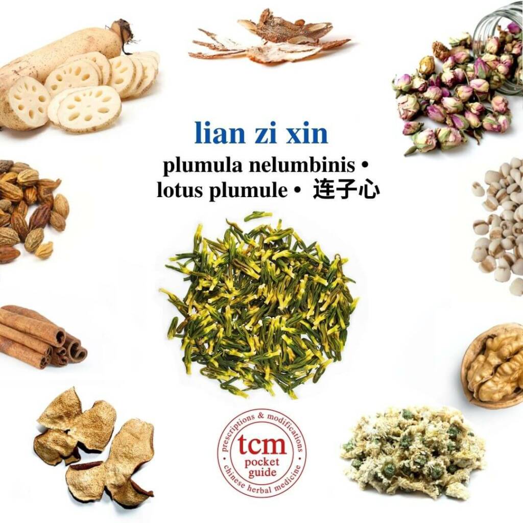 lian zi xin herb